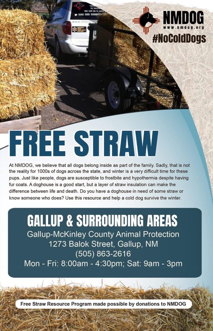 Free straw for pets in Gallup and surrounding areas by New Mexico Dog at the McKinley County Humane in Gallup