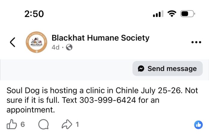 Chinle Spay/Neuter/Vaccine clinic by Soul Dog Rescue July 25-26