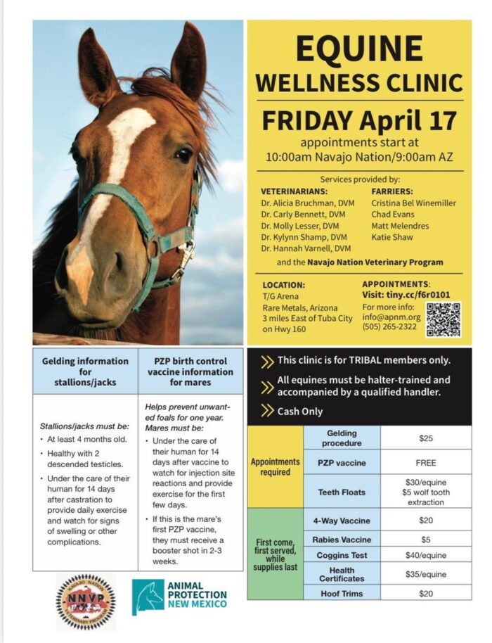 April 17th Equine Wellness Clinic at Rare Metals in Tuba City