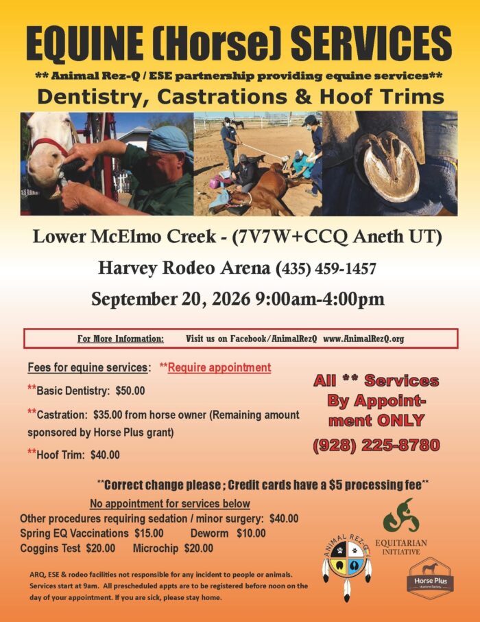 Equine Services Aneth, UT, September 20
