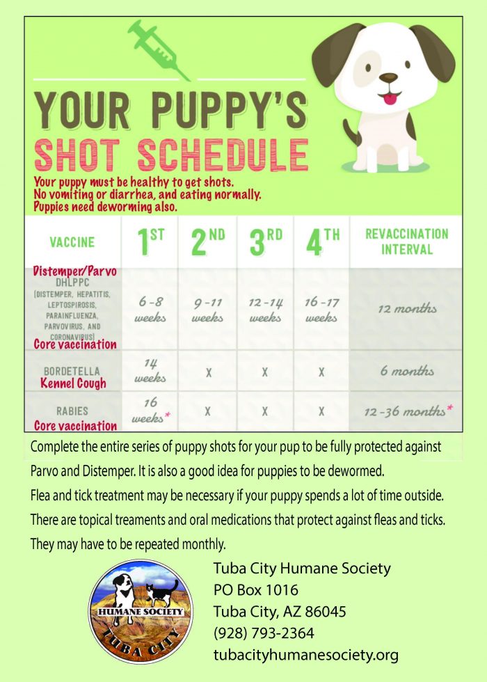 Puppy Shot Schedule Canada