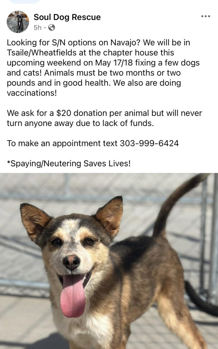 Soul Dog Spay/Neuter/Vaccination clinic May 17 & 18 Tsaile/Wheatfields