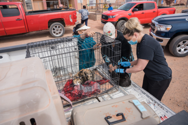 April 9 and 10, 2022, Low Cost Spay Neuter Clinic