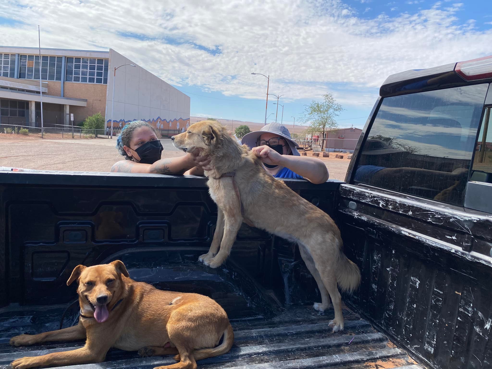 vaccinations in truck bed