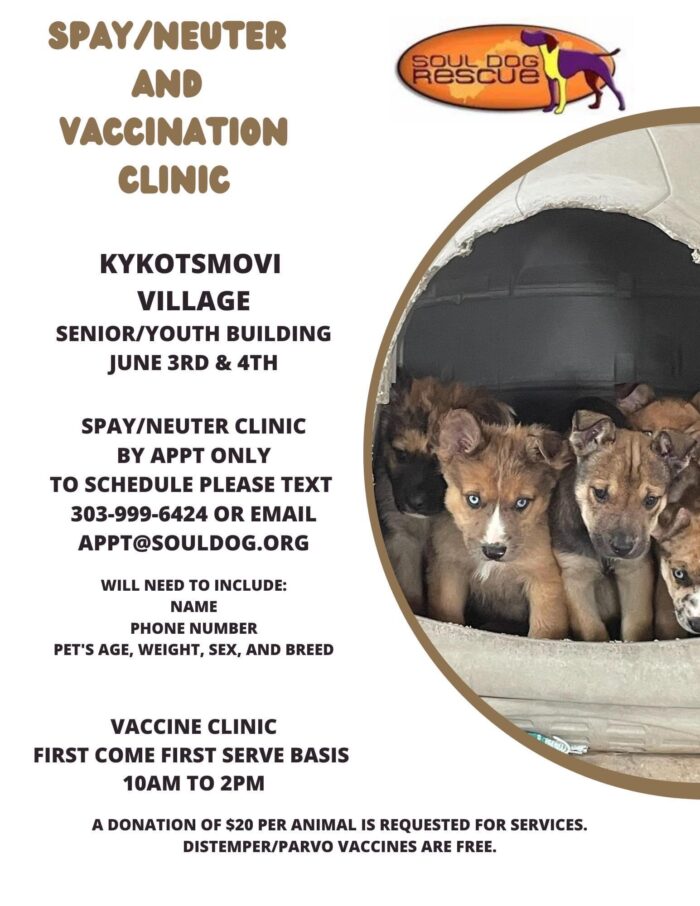 Soul Dog Rescue Spay/Neuter/Vaccination clnic June 3 & 4, Kykotsmovi Village, Senior/Youth Building