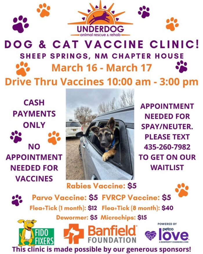 Underdog March 16 & 17 Sheep Springs NM Spay/Neuter/Vaccine clinic