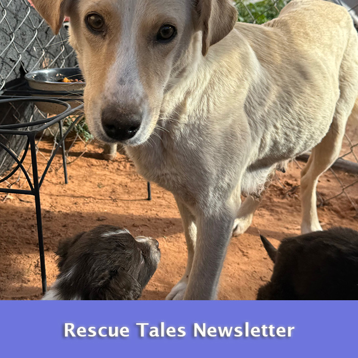 Rescue Tales Newsletter