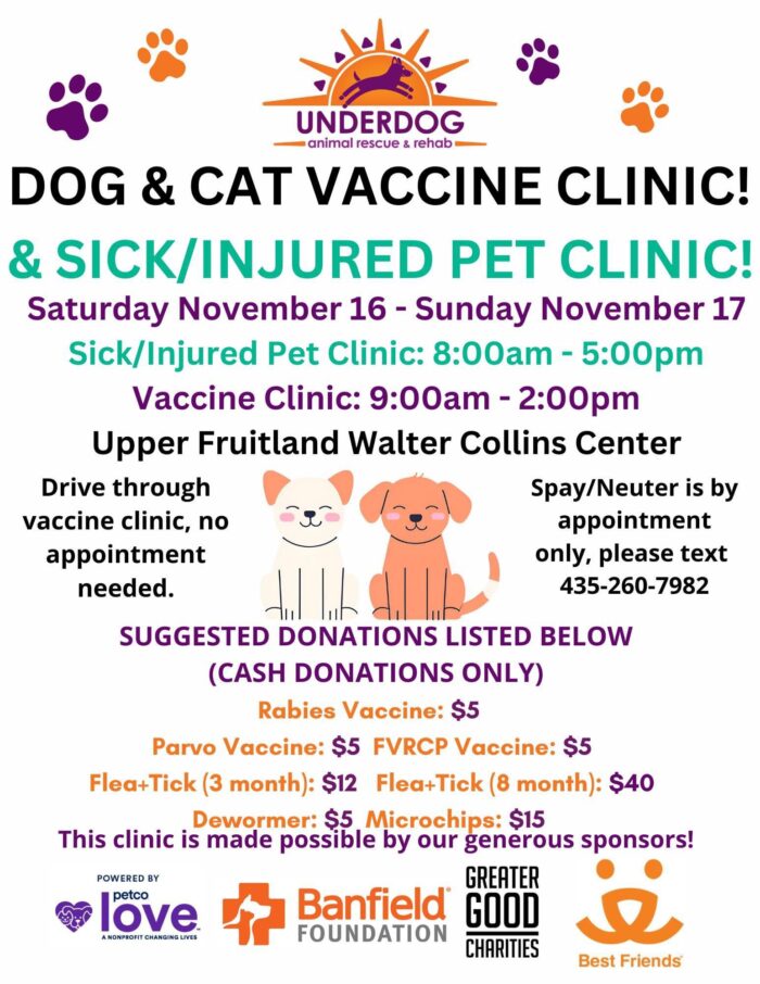 Underdog November 16 & 17 clinic at Upper Fruitland