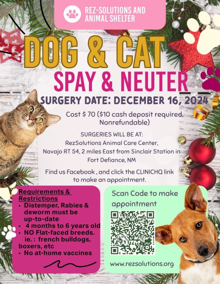 December 16 Rez-Solutions Spay and Neuter clinic, Fort Defiance, NM