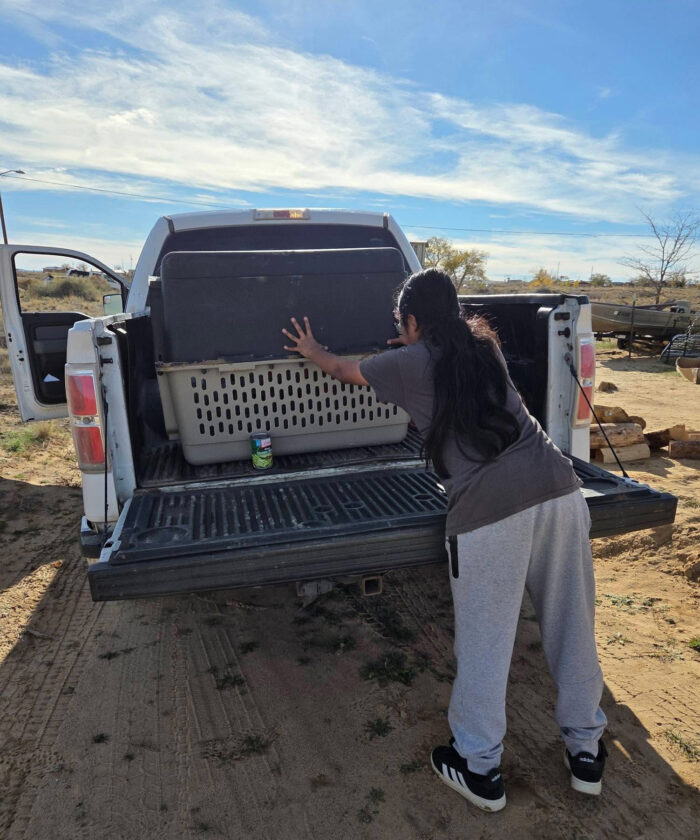 Loading a dog crate in the back of the truck