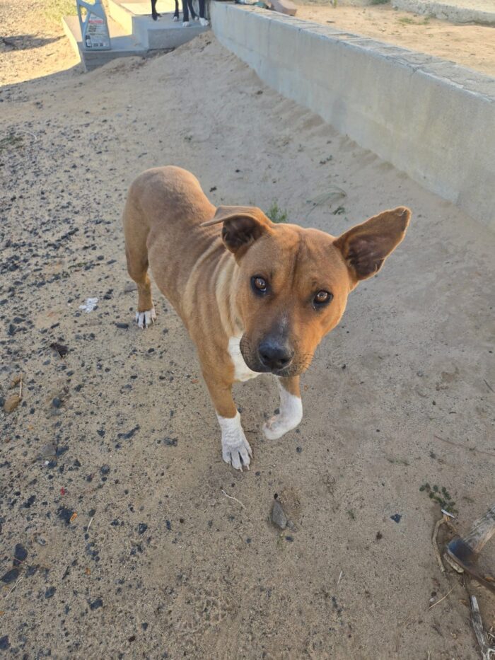 Notorious D.O.G. healthy