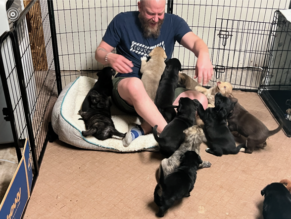 Stacy and Tumbleweed puppies in pen